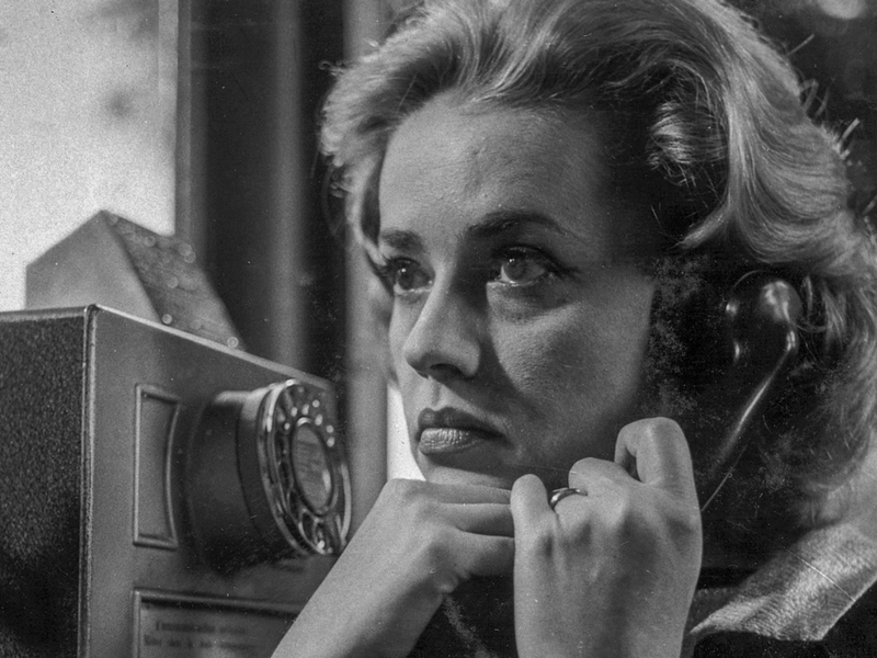 ARTE-Streamingtipps 2. Augusthälfte: Lucerne Festival & Salzburger Festspiele | Sühne | Mit offenen Daten: Gorilla-Babies zu verkaufen - Foto: presseportal.de