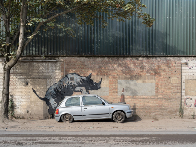 Es ist der achte Tag in Folge mit einem Banksy-Tier. - Foto: Banksy/PA Wire/dpa