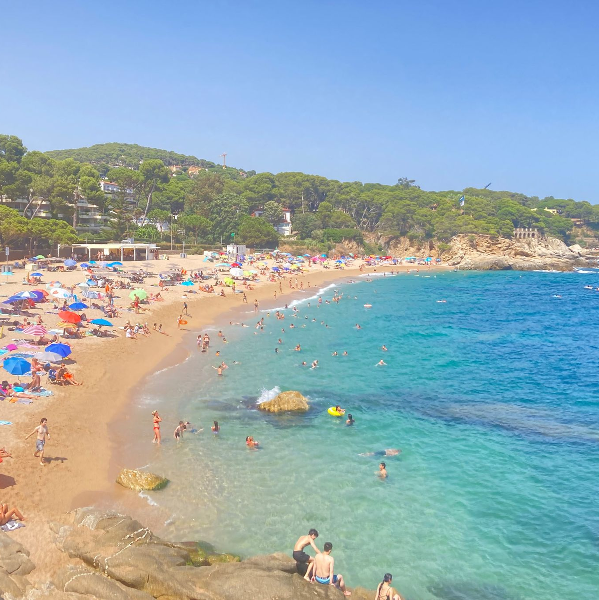 Der Unmut und die Proteste von Umweltschützern nehmen zu. - Foto: Emilio Rappold/dpa