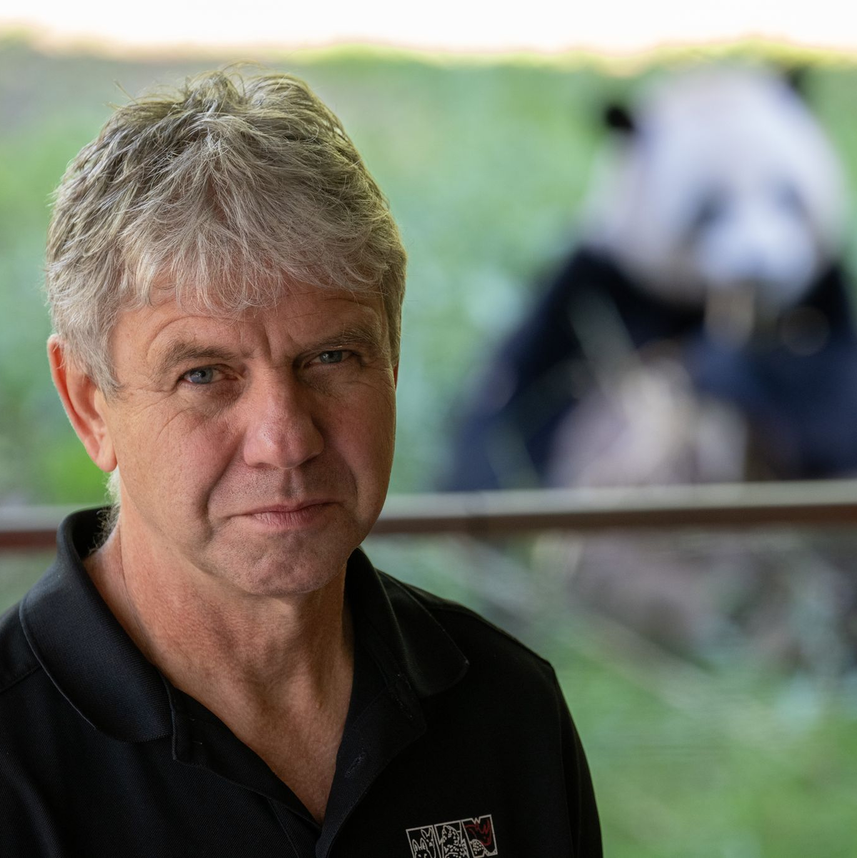 Dem Tiermediziner Thomas Hildebrandt glückte der Ultraschall bei Meng Meng.  - Foto: Sebastian Christoph Gollnow/dpa