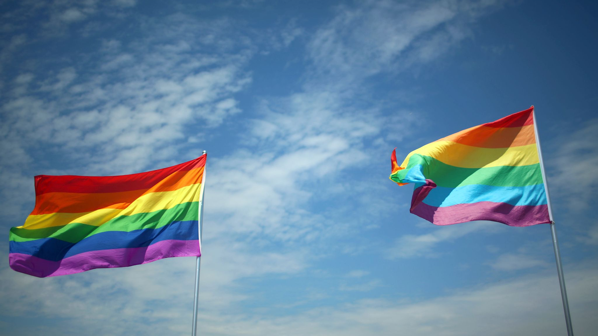 Die Regenbogenflagge gilt als Symbol für Vielfalt und Toleranz. In Neubrandenburg wurde erneut eine solche Fahne entwendet und gegen eine verbotene NS-Flagge ausgetauscht. (Archivbild) - Foto: picture alliance / dpa
