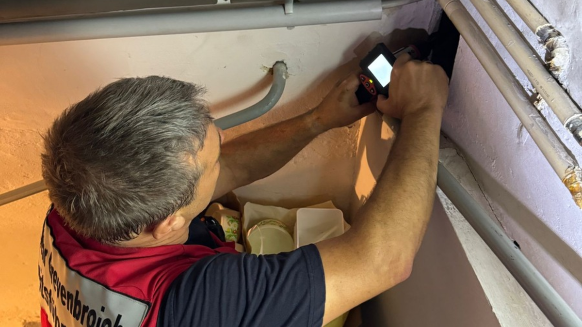 FW Grevenbroich: Feuerwehr Grevenbroich rettet abgestürztes Katzenkind nach 7,5 Stunden aus Todesfalle / Kater Leo verschwand durch ein Loch im Dachboden - Sturz in Gebäudewinkel - Zimmerwand aufgebrochen - Foto: presseportal.de