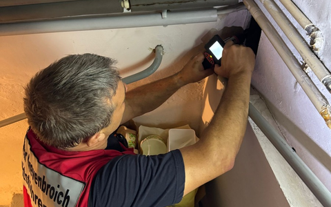 FW Grevenbroich: Feuerwehr Grevenbroich rettet abgestĂŒrztes Katzenkind nach 7,5 Stunden aus Todesfalle / Kater Leo verschwand durch ein Loch im Dachboden - Sturz in GebĂ€udewinkel - Zimmerwand aufgebrochen - Foto: presseportal.de FW Grevenbroich: Feuerwehr Grevenbroich rettet abgestĂŒrztes Katzenkind nach 7,5 Stunden aus Todesfalle / Kater Leo verschwand durch ein Loch im Dachboden - Sturz in GebĂ€udewinkel - Zimmerwand aufgebrochen - Foto: presseportal.de