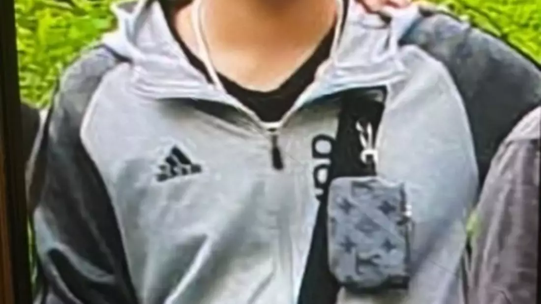 POL-WI-KvD: 14-jähriger Jugendlicher aus Wiesbaden vermisst - Bild: presseportal.de