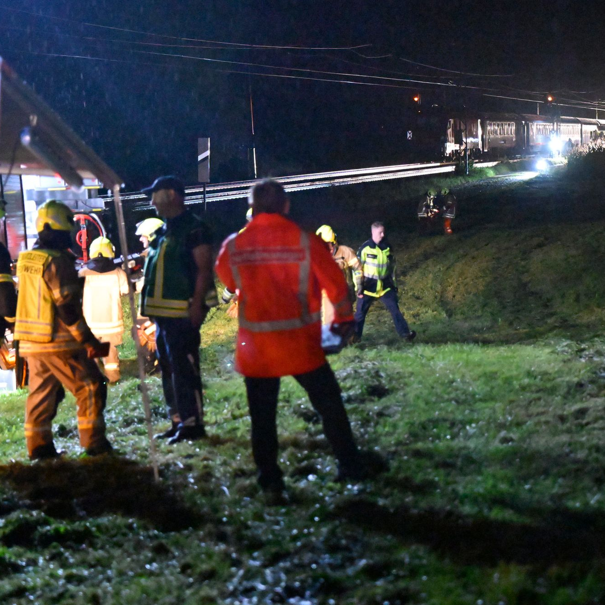 Ein Eurocity kollidierte mit einem umgestürzten Baum.  - Foto: Uwe Lein/dpa