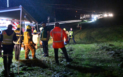 Ein Eurocity kollidierte mit einem umgestürzten Baum.  - Foto: Uwe Lein/dpa
