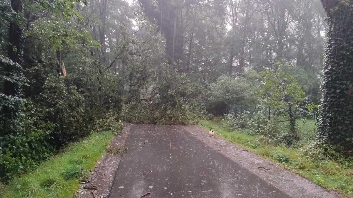 FW-Schermbeck: Sturmschäden - Foto: presseportal.de
