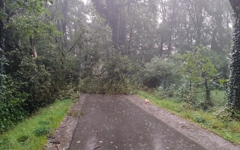 FW-Schermbeck: Sturmschäden - Foto: presseportal.de
