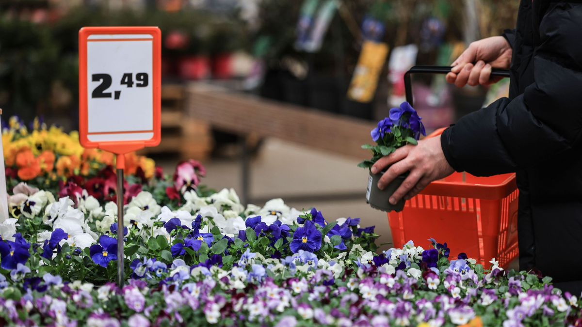 Nach gutem Start ins Jahr verzeichneten die Bau- und Gartenfachmärkte in Deutschland wegen des schlechten Wetters zuletzt einen Umsatzeinbruch.  - Foto: Oliver Berg/dpa