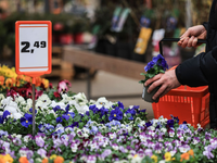 Nach gutem Start ins Jahr verzeichneten die Bau- und Gartenfachmärkte in Deutschland wegen des schlechten Wetters zuletzt einen Umsatzeinbruch.  - Foto: Oliver Berg/dpa