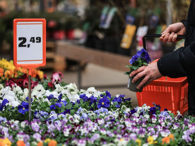 Schlechtes Wetter im Mai und Juni verhagelte den Händlern 2024 das Geschäft. - Foto: Oliver Berg/dpa