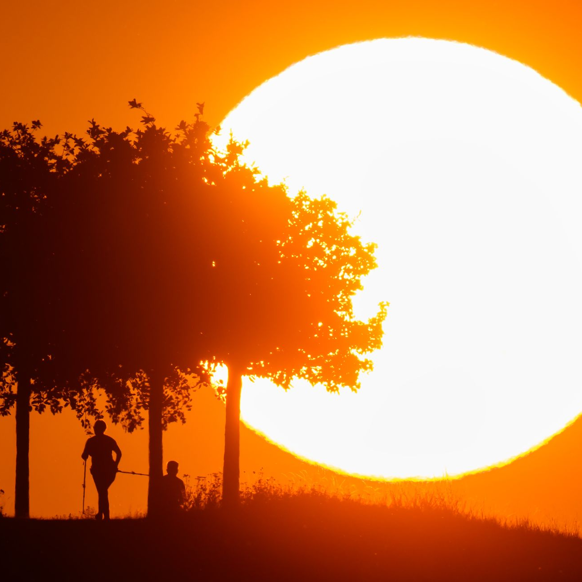 Die WMO berichtet gleich über mehrere Wärmerekorde. (Archivbild)  - Foto: Julian Stratenschulte/dpa