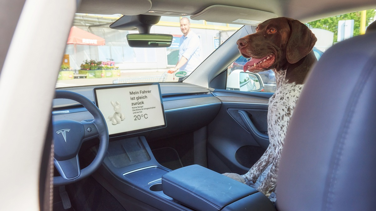 Hundemodus hält Temperatur im E-Auto konstant / Tiere sollten nicht im Auto zurückgelassen werden. Im Ausnahmefall sorgt der Haustiermodus der Klimaanlage für angenehme Temperatur - Foto: presseportal.de