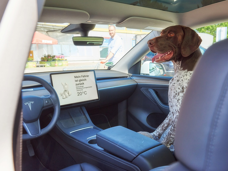 Hundemodus hält Temperatur im E-Auto konstant / Tiere sollten nicht im Auto zurückgelassen werden. Im Ausnahmefall sorgt der Haustiermodus der Klimaanlage für angenehme Temperatur - Foto: presseportal.de
