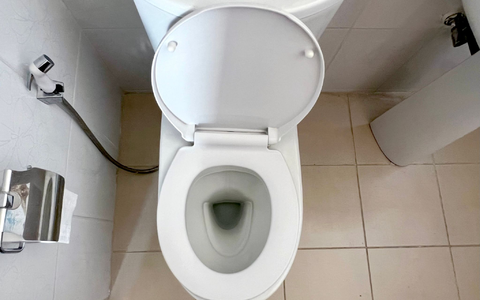 Den Frauen wurde bei der Toilettenreinigung eine toxische Mischung zum Verhängnis. (Symbolbild) - Foto: Carola Frentzen/dpa