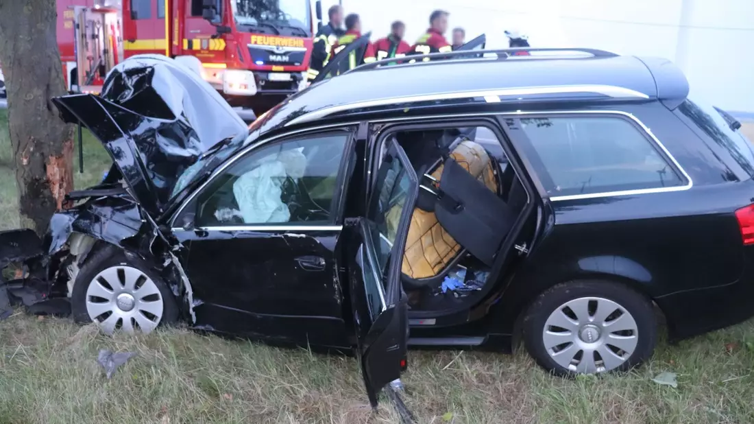 POL-PB: Abgelenkt - Junger Fahrer prallt frontal gegen Baum - Bild: presseportal.de
