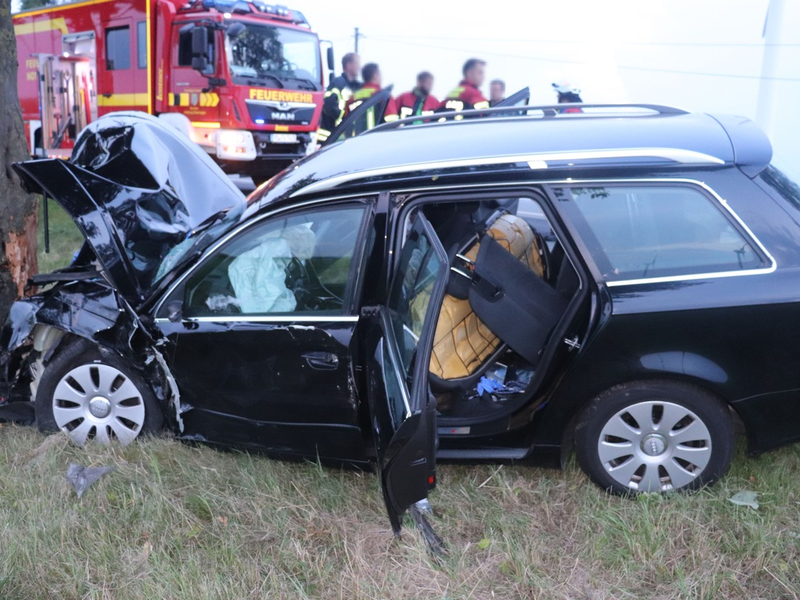 POL-PB: Abgelenkt - Junger Fahrer prallt frontal gegen Baum - Foto: presseportal.de