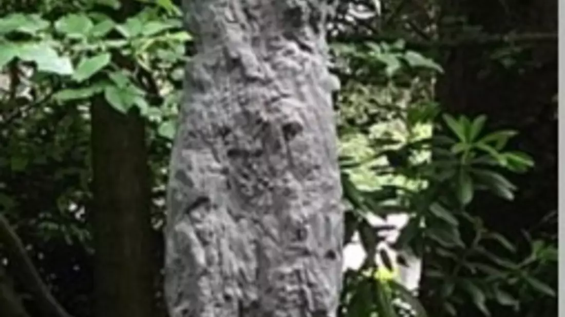 POL-D: Nordfriedhof - Unbekannte Täter entwenden überlebensgroße Grabfiguren - erheblicher Sachschaden - Polizei sucht Zeugen - Bild: presseportal.de