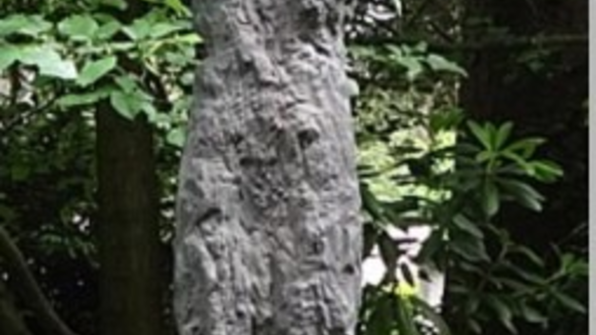 POL-D: Nordfriedhof - Unbekannte Täter entwenden überlebensgroße Grabfiguren - erheblicher Sachschaden - Polizei sucht Zeugen - Foto: presseportal.de