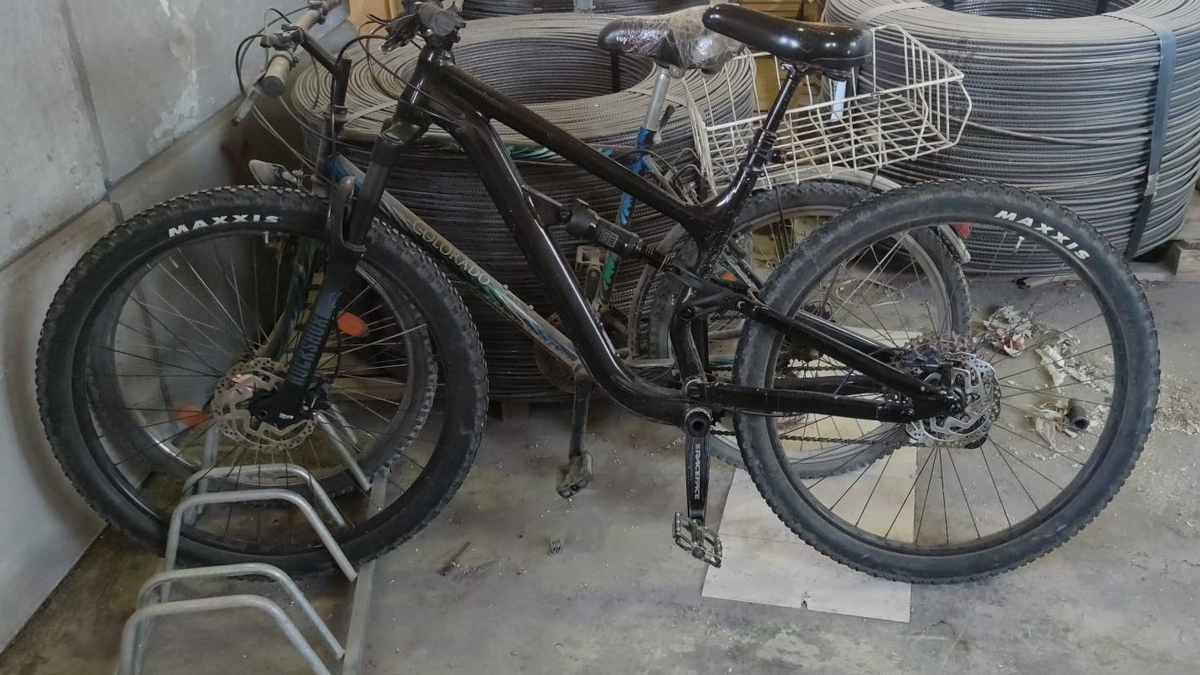 LPI-EF: Mountainbike aus Keller gestohlen - Foto: presseportal.de