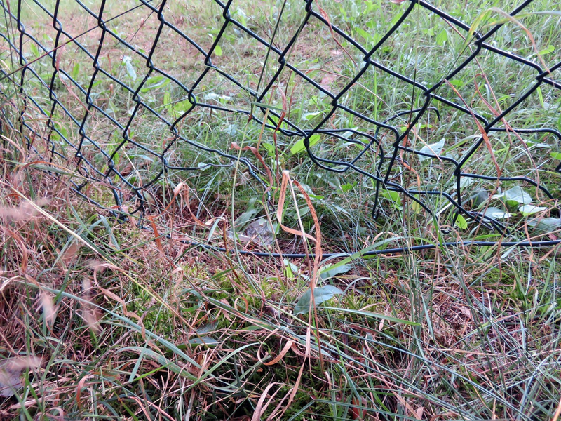 POL-EU: Maschendrahtzaun beschädigt - Foto: presseportal.de