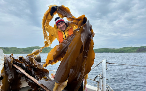 Terra X: Thunfisch – Der bedrohte Jäger im ZDF - Foto: presseportal.de
