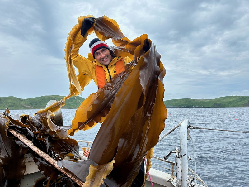 Terra X: Thunfisch – Der bedrohte Jäger im ZDF - Foto: presseportal.de