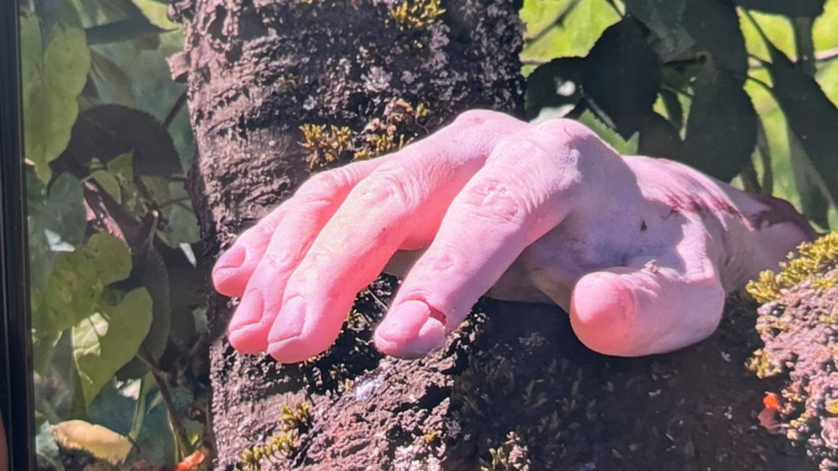 POL-PIING: Gummihand löst Polizeieinsatz aus - Foto: presseportal.de