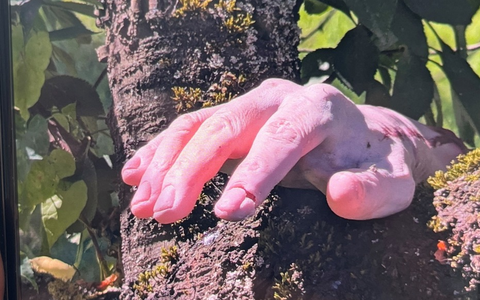 POL-PIING: Gummihand löst Polizeieinsatz aus - Foto: presseportal.de