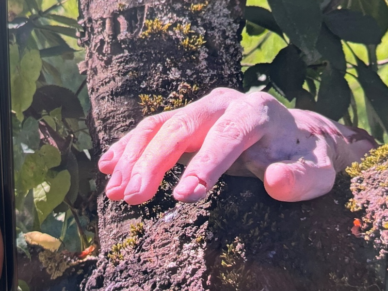 POL-PIING: Gummihand löst Polizeieinsatz aus - Foto: presseportal.de