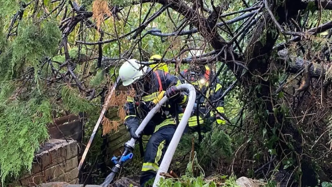 FW-OG: Brennende Thujahecke - Rauchwolke über Uffhofen - Bild: presseportal.de