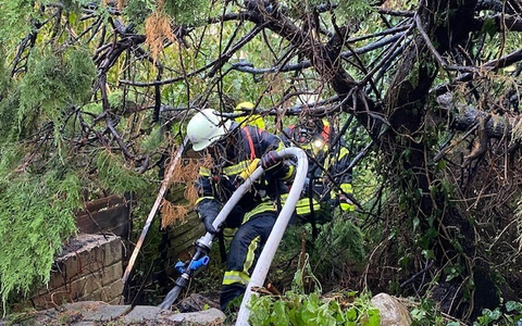 FW-OG: Brennende Thujahecke - Rauchwolke über Uffhofen - Foto: presseportal.de