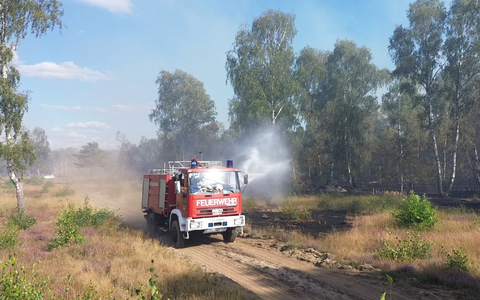 Die Feuerwehr löscht von Wegen aus beim Waldbrand in Jüterbog.  - Foto: Cevin Dettlaff/dpa