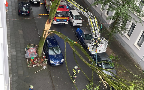 FW-DO: Abgeknickter Baum zerstört drei PKW und einen Motorroller - Foto: presseportal.de