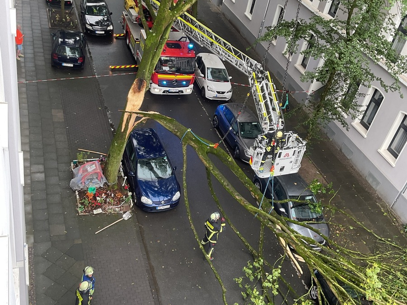 FW-DO: Abgeknickter Baum zerstört drei PKW und einen Motorroller - Foto: presseportal.de