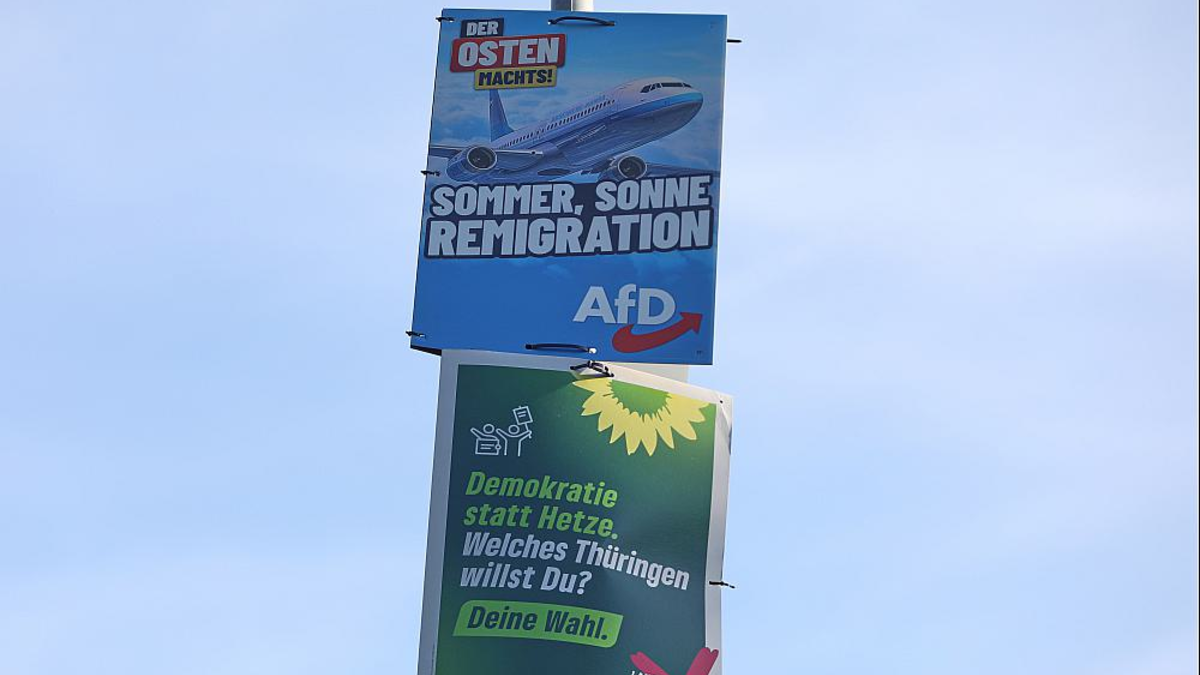 Wahlplakate von AfD und Grünen zur Landtagswahl in Thüringen (Archiv) - Foto: über dts Nachrichtenagentur