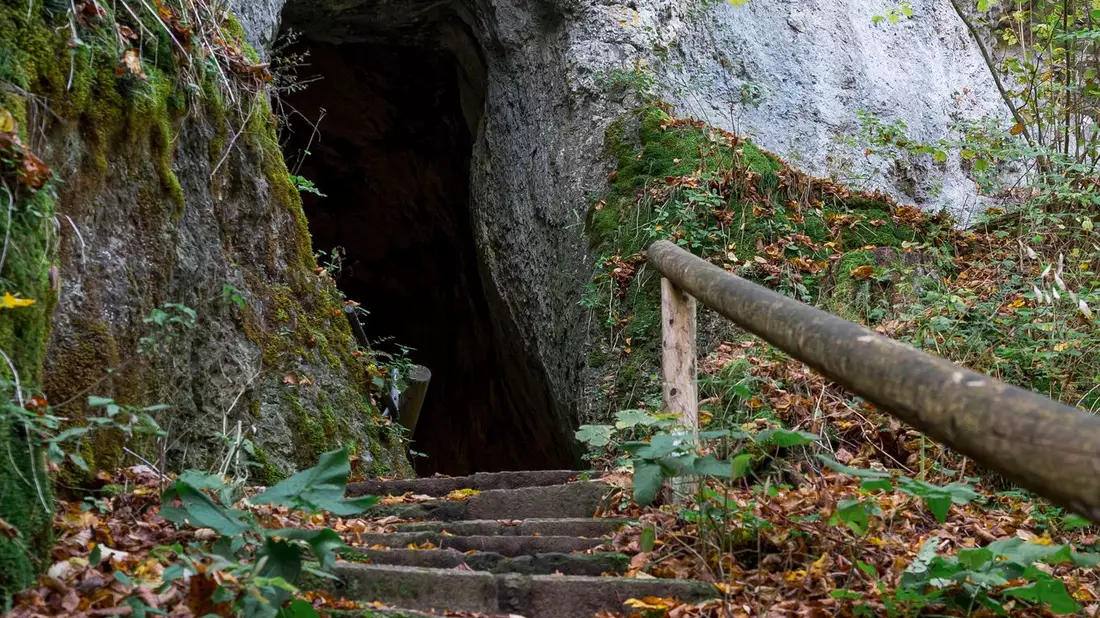 Höhlen sollten im Herbst und Winter nicht betreten werden, um Fledermäuse nicht zu stören. (Archivbild) - Bild: Daniel Vogl/dpa