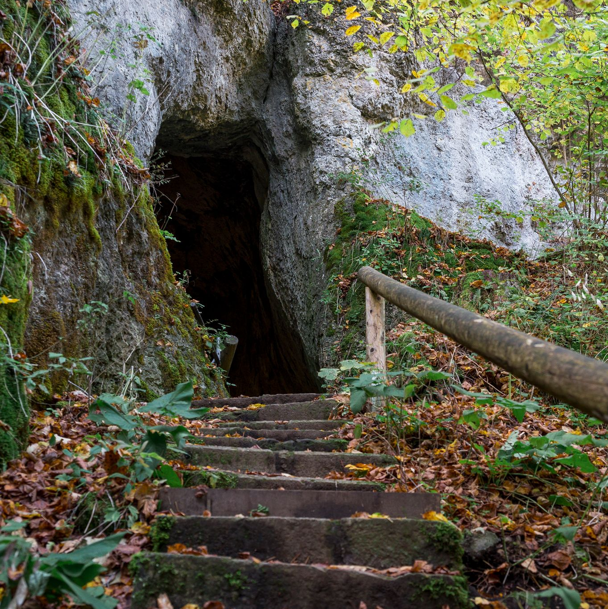 Höhlen sollten im Herbst und Winter nicht betreten werden, um Fledermäuse nicht zu stören. (Archivbild) - Foto: Daniel Vogl/dpa