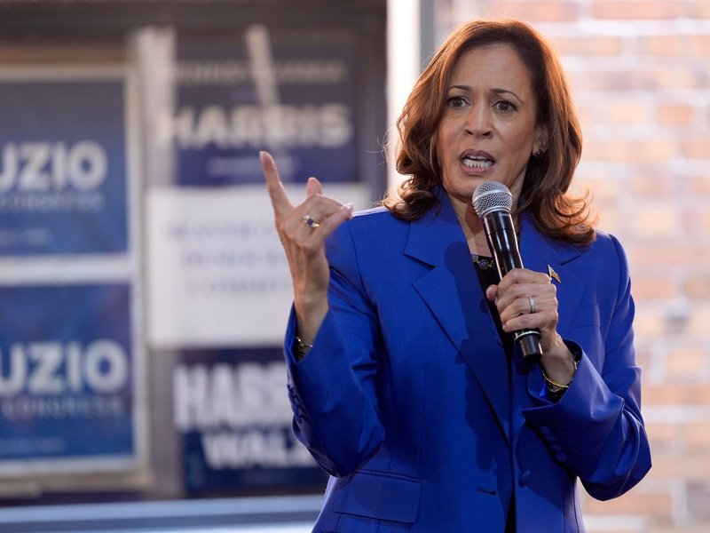 Kamala Harris will im November zur ersten Präsidentin der USA gewählt werden. - Foto: Julia Nikhinson/AP/dpa