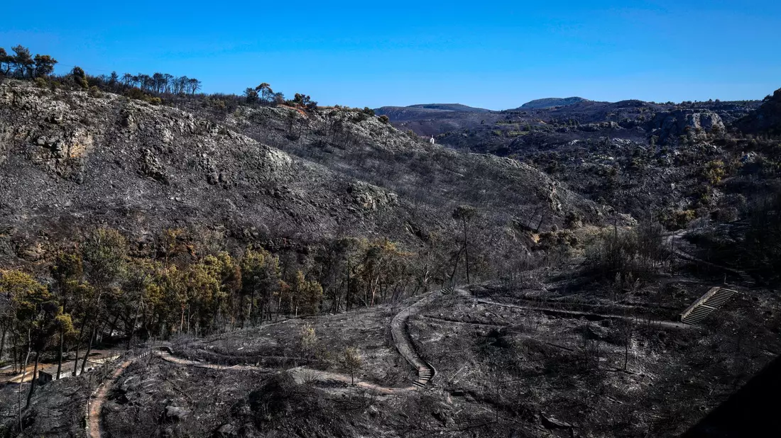 Griechenland wird in diesem Jahr von starken Waldbränden heimgesucht - die Schäden für Mensch und Natur sind groß. (Archivbild) - Bild: Petros Giannakouris/AP/dpa