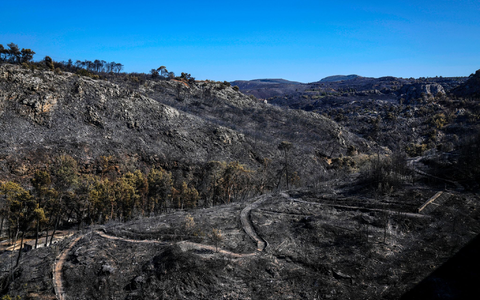 Griechenland wird in diesem Jahr von starken Waldbränden heimgesucht - die Schäden für Mensch und Natur sind groß. (Archivbild) - Foto: Petros Giannakouris/AP/dpa