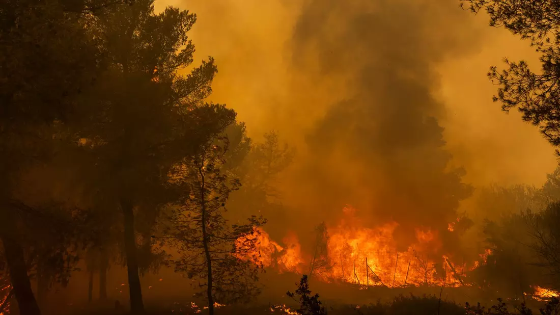 Das trockene Gehölz agiert als Brandbeschleuniger. (Archivbild) - Bild: Socrates Baltagiannis/dpa/dpa-tmn