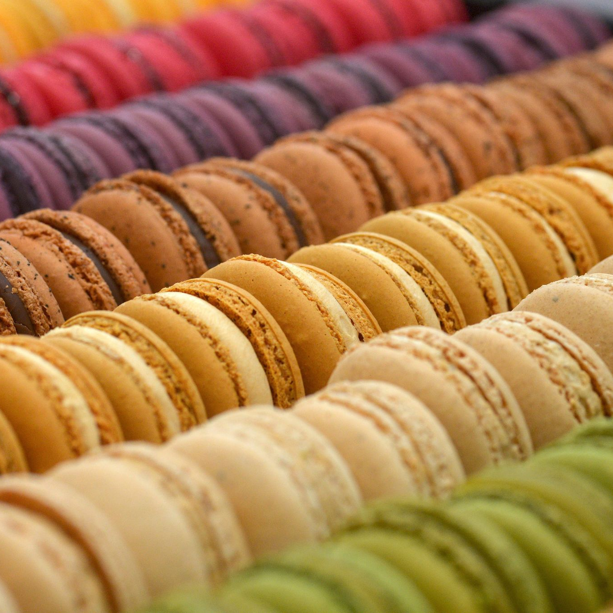 Bunt, bunter, Macarons: Blick auf eine Auswahl des Trend-Gebäcks in Brüssel. (Archivbild von 2014) - Foto: picture alliance / dpa