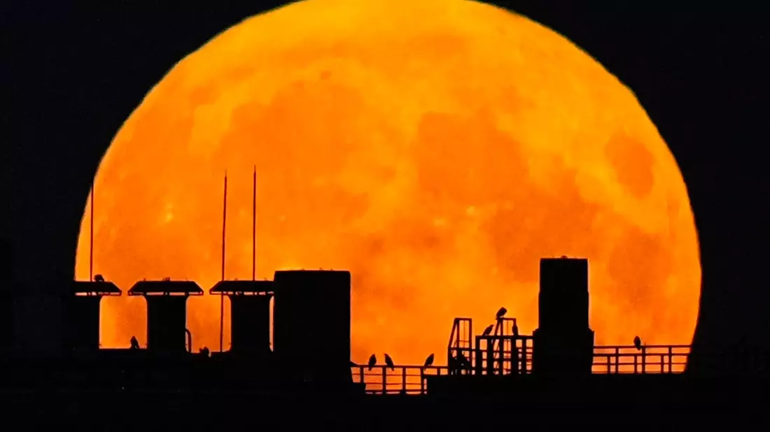 Ein Supermond geht über einem Wohnhaus auf. - Bild: Pavel Bednyakov/AP/dpa