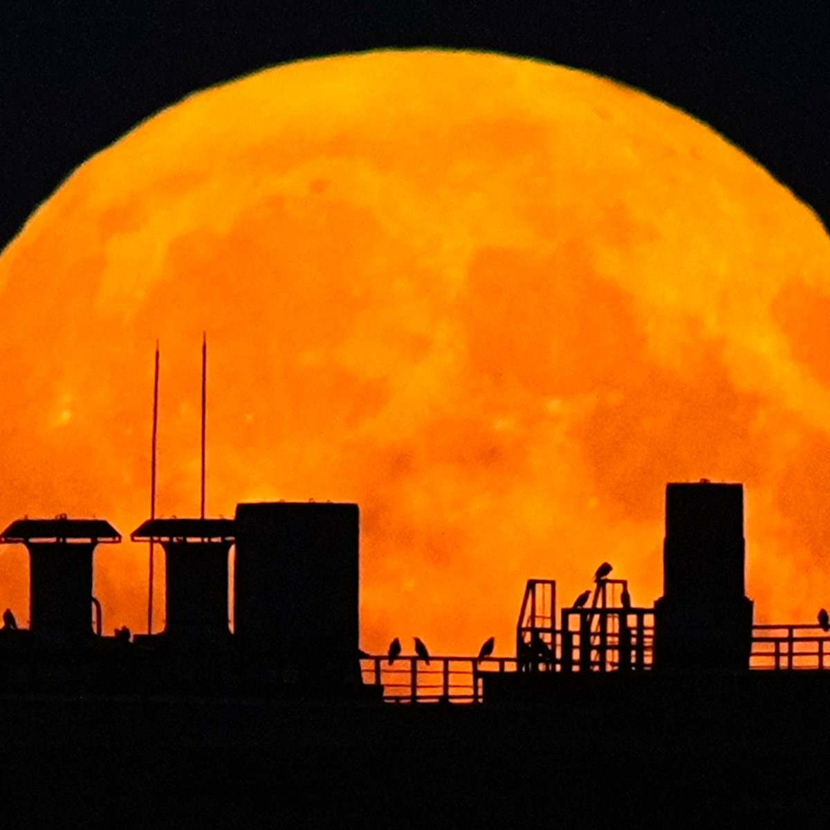 Ein Supermond geht über einem Wohnhaus auf. - Foto: Pavel Bednyakov/AP/dpa