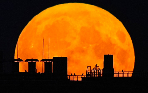 Ein Supermond geht über einem Wohnhaus auf. - Foto: Pavel Bednyakov/AP/dpa