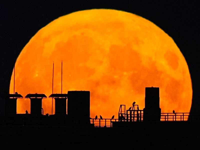 Ein Supermond geht über einem Wohnhaus auf. - Foto: Pavel Bednyakov/AP/dpa