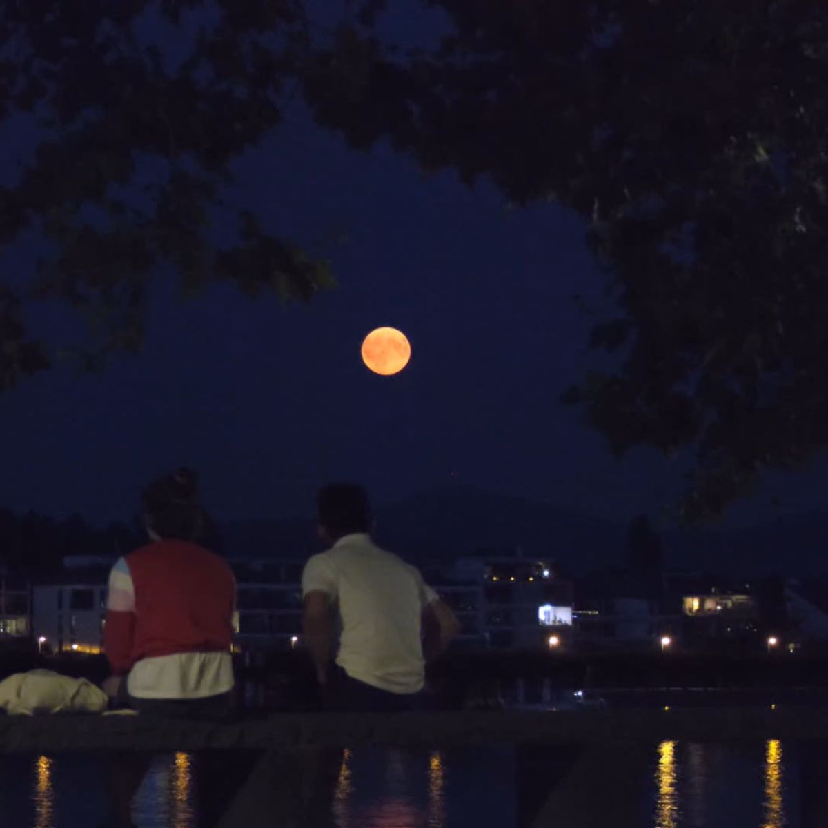 Ein «Supermond» leuchet hell und groß am Nachthimmel. - Foto: Benjamin Westhoff/TNN/dpa