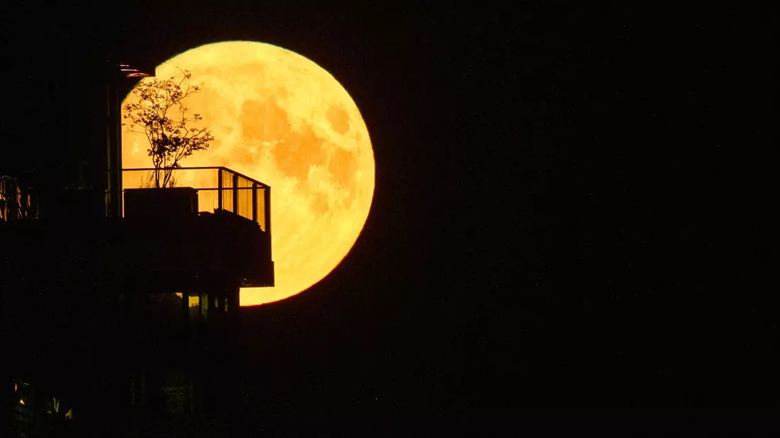 Der Supermond geht hinter einem Hochhaus an der Berliner East Side Galery auf. - Bild: Paul Zinken/dpa