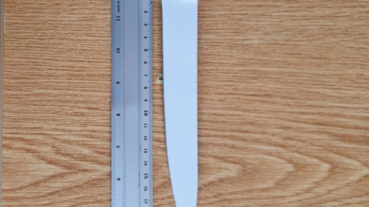 BPOLD-B: Mann bedroht Reisende im ICE mit Messer - Foto: presseportal.de